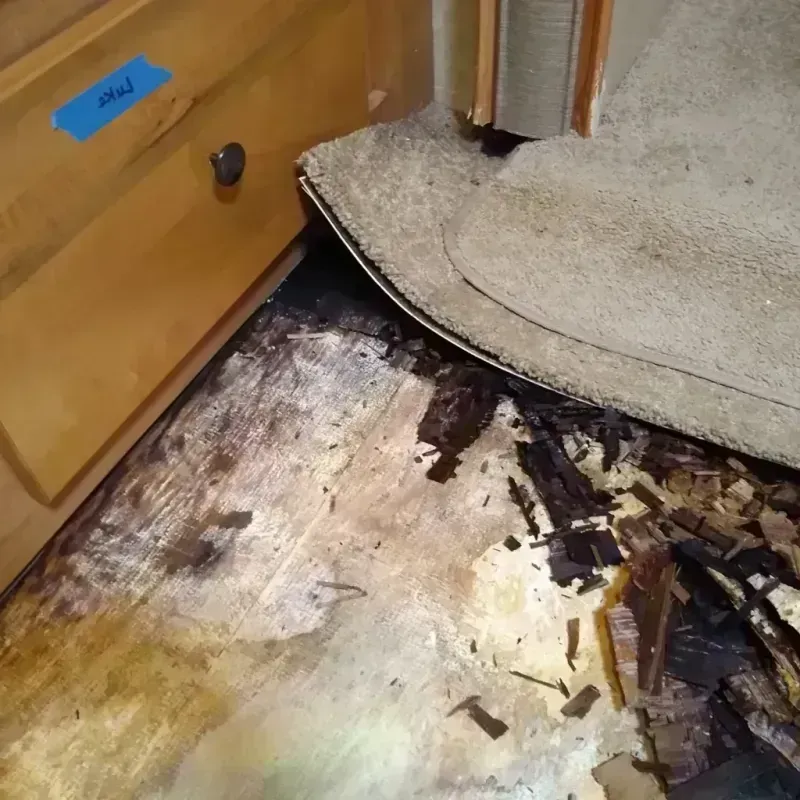 Wood Floor Water Damage in Hooker, OK